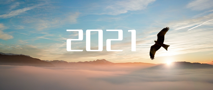 乘“峰”而上，智“盈”未來 ——2021年盈峰環(huán)境高級資深副總裁新年開工動(dòng)員